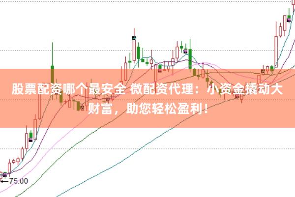 股票配资哪个最安全 微配资代理：小资金撬动大财富，助您轻松盈利！