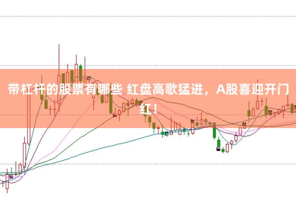带杠杆的股票有哪些 红盘高歌猛进，A股喜迎开门红！