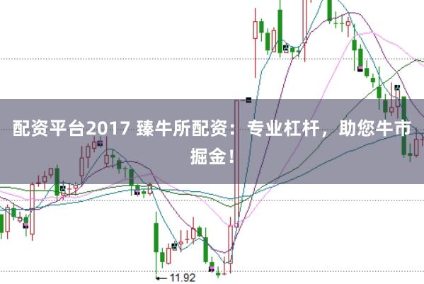 配资平台2017 臻牛所配资：专业杠杆，助您牛市掘金！
