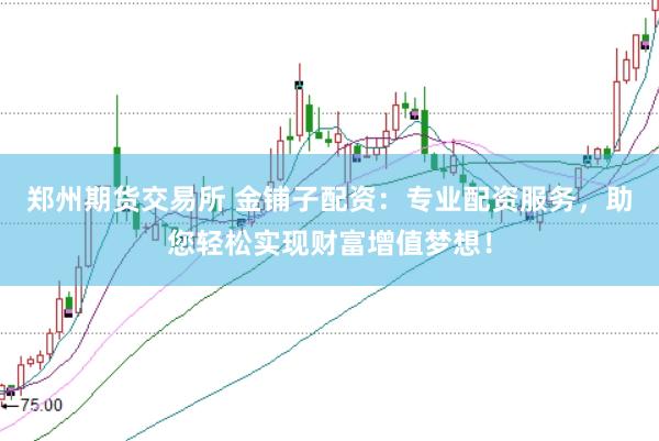 郑州期货交易所 金铺子配资：专业配资服务，助您轻松实现财富增值梦想！