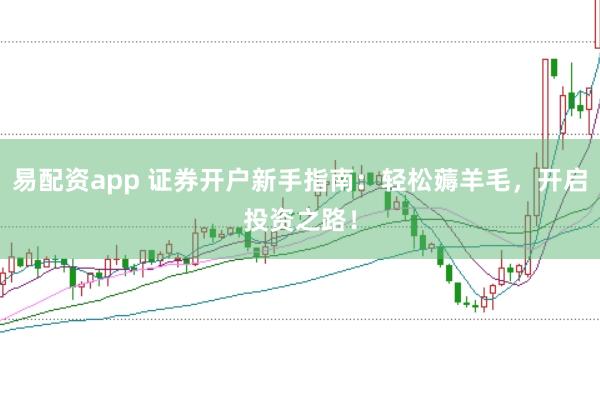 易配资app 证券开户新手指南：轻松薅羊毛，开启投资之路！