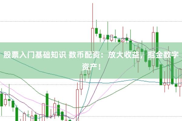股票入门基础知识 数币配资：放大收益，掘金数字资产！