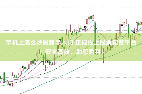手机上怎么炒股新手入门 正规线上股票配资平台：安全高效，助您盈利！