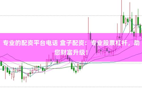 专业的配资平台电话 盒子配资：专业股票杠杆，助您财富升级！
