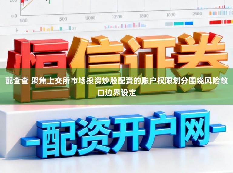 配查查 聚焦上交所市场投资炒股配资的账户权限划分围绕风险敞口边界设定