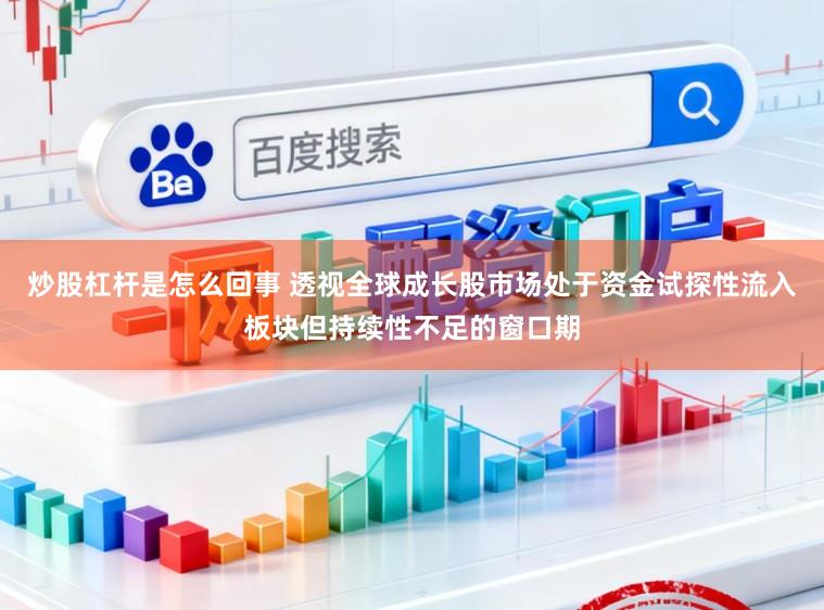 炒股杠杆是怎么回事 透视全球成长股市场处于资金试探性流入板块但持续性不足的窗口期